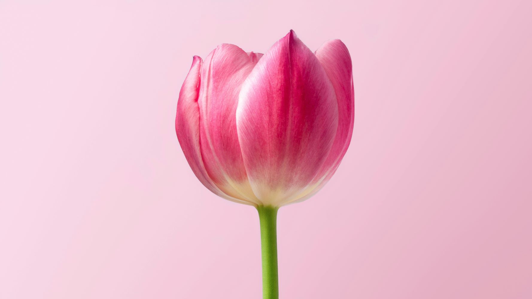 what are the best flowers for a first date
