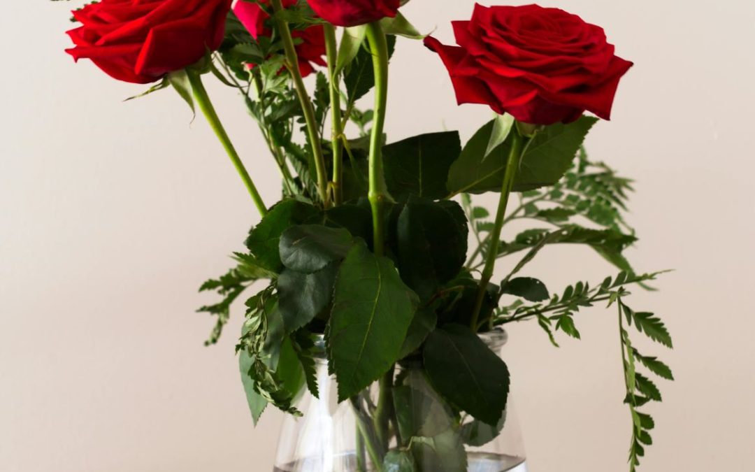 How to Get the Longest Life Out of Roses