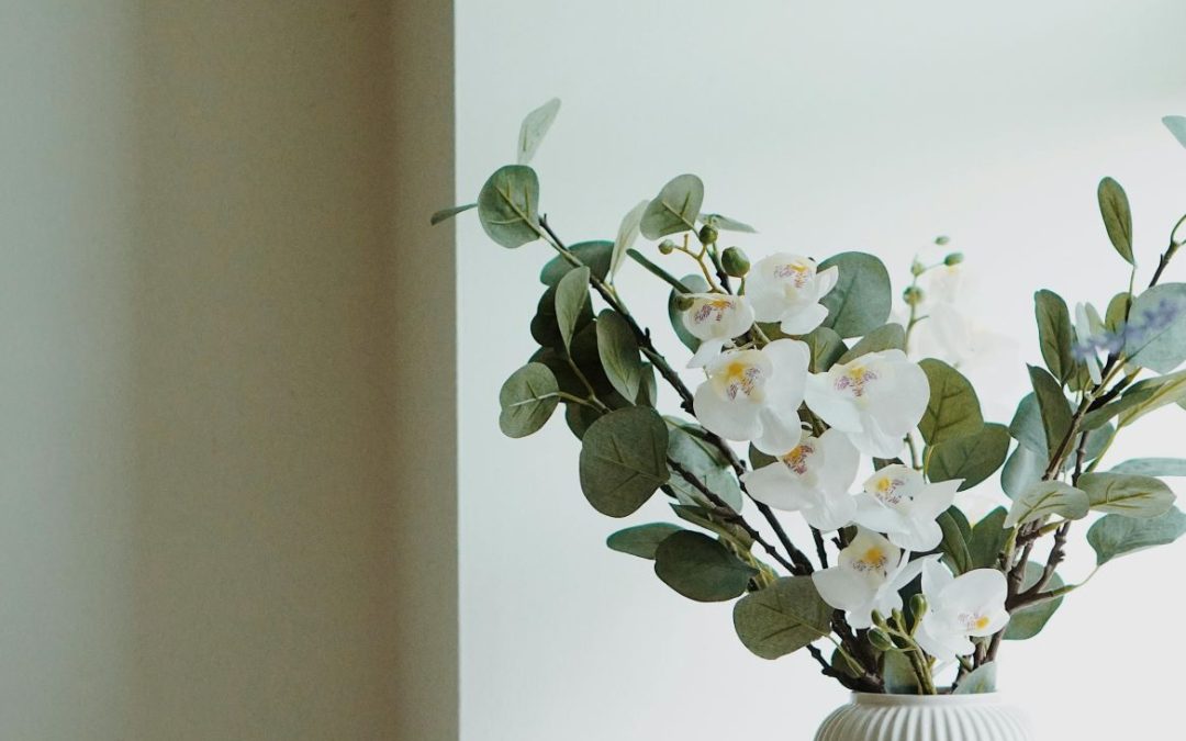 When to Give Orchids: A Complete Guide