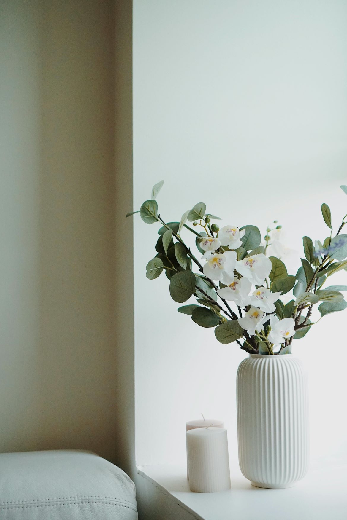 When to Give Someone Orchids