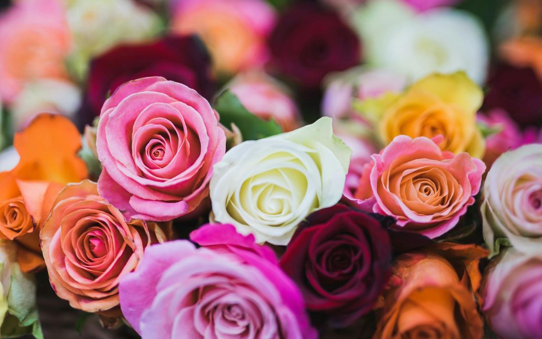 what are the Right Flower Colors for your event