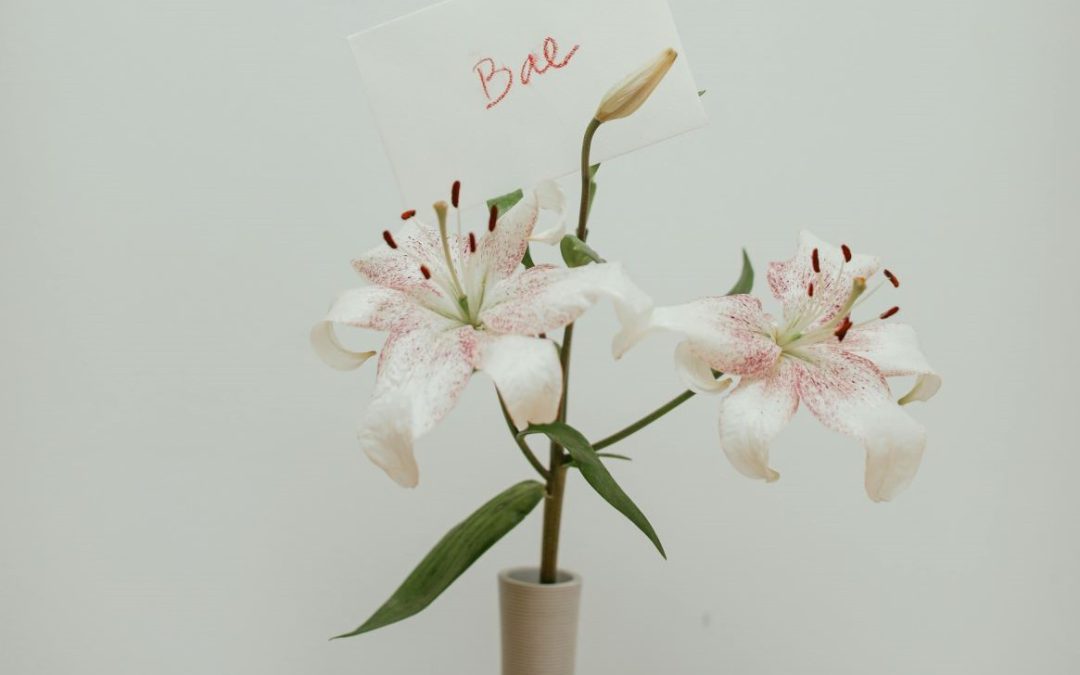 Orchids in San Diego